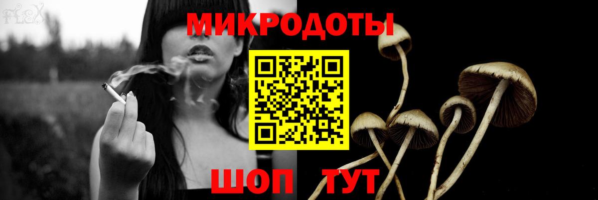 Псилоцибиновые грибы Magic Shrooms Тула
